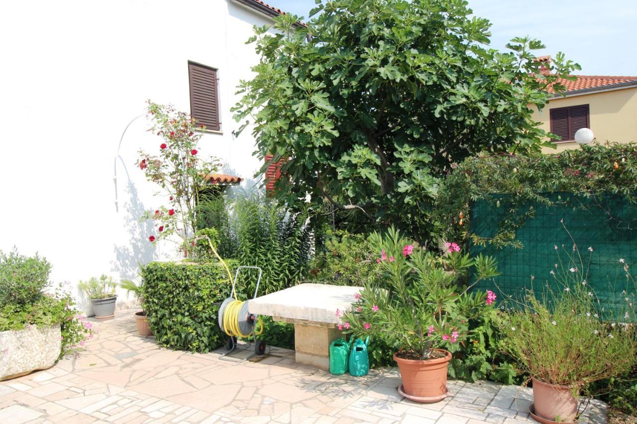 Apartament Maria Mare Rovinj Zewnętrze zdjęcie