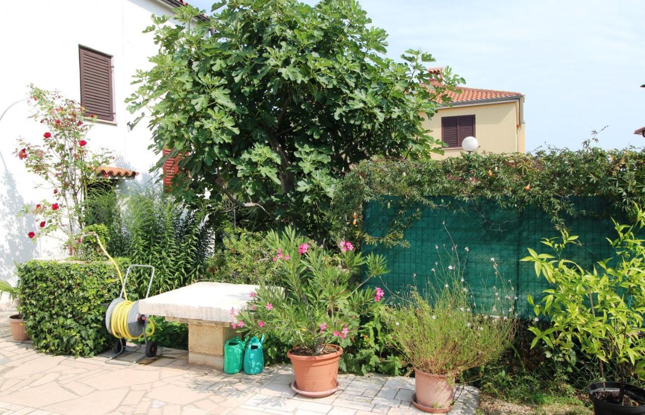 Apartament Maria Mare Rovinj Zewnętrze zdjęcie